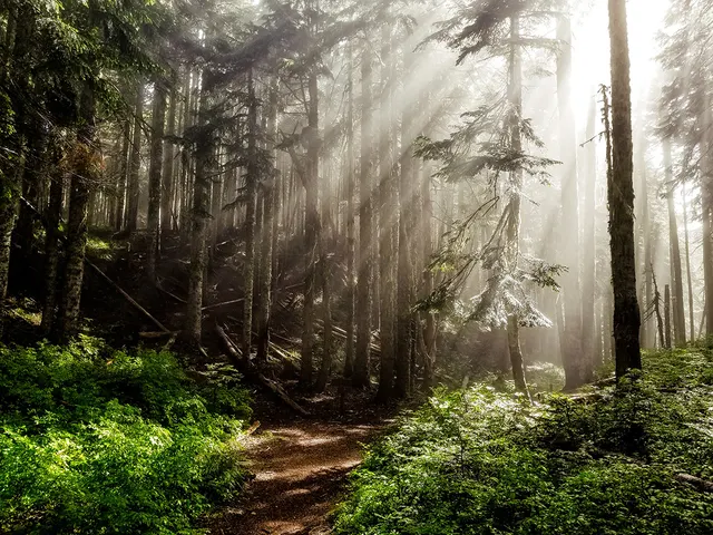 Crime and Addiction Links In Oregon