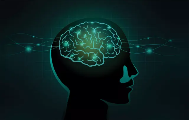 How Long Does It Take To Rewire The Brain From Addiction?