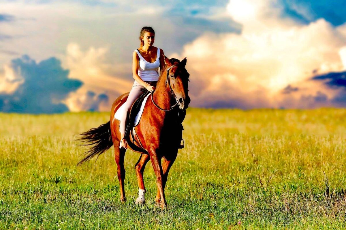 Equine therapy at holistic rehab: a girl rides a horse in a field