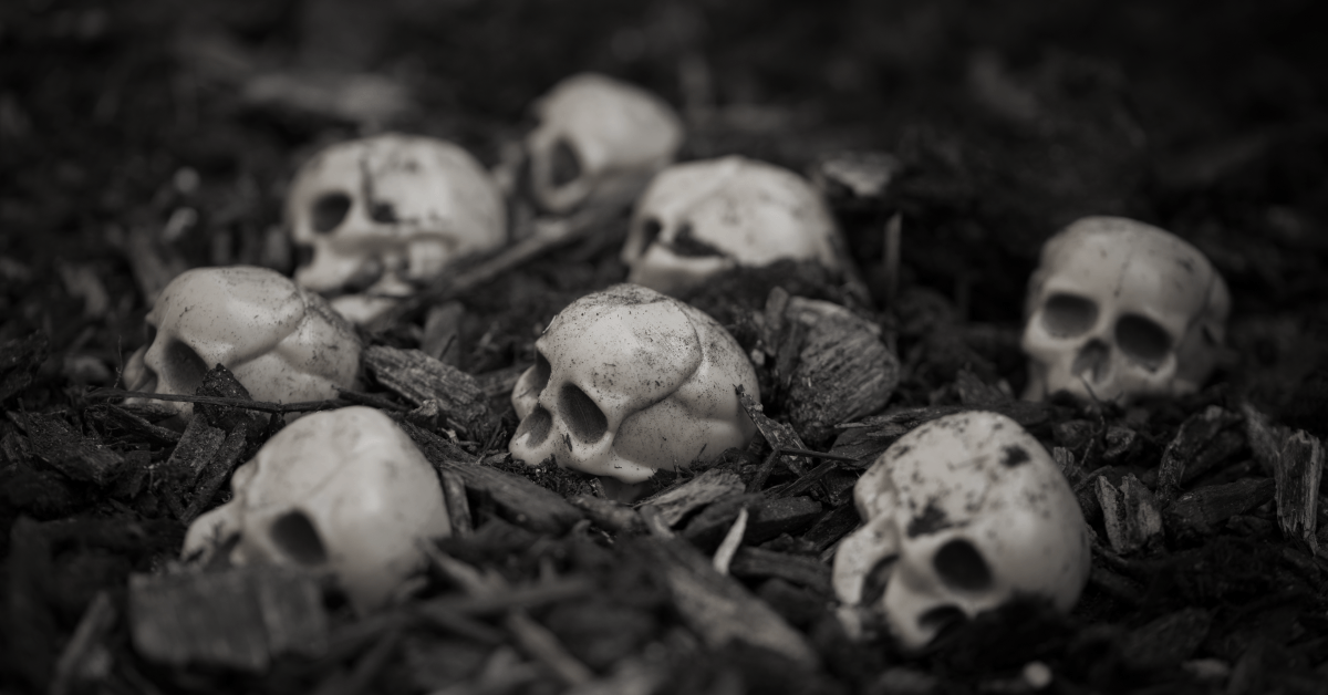 Skulls on the ground